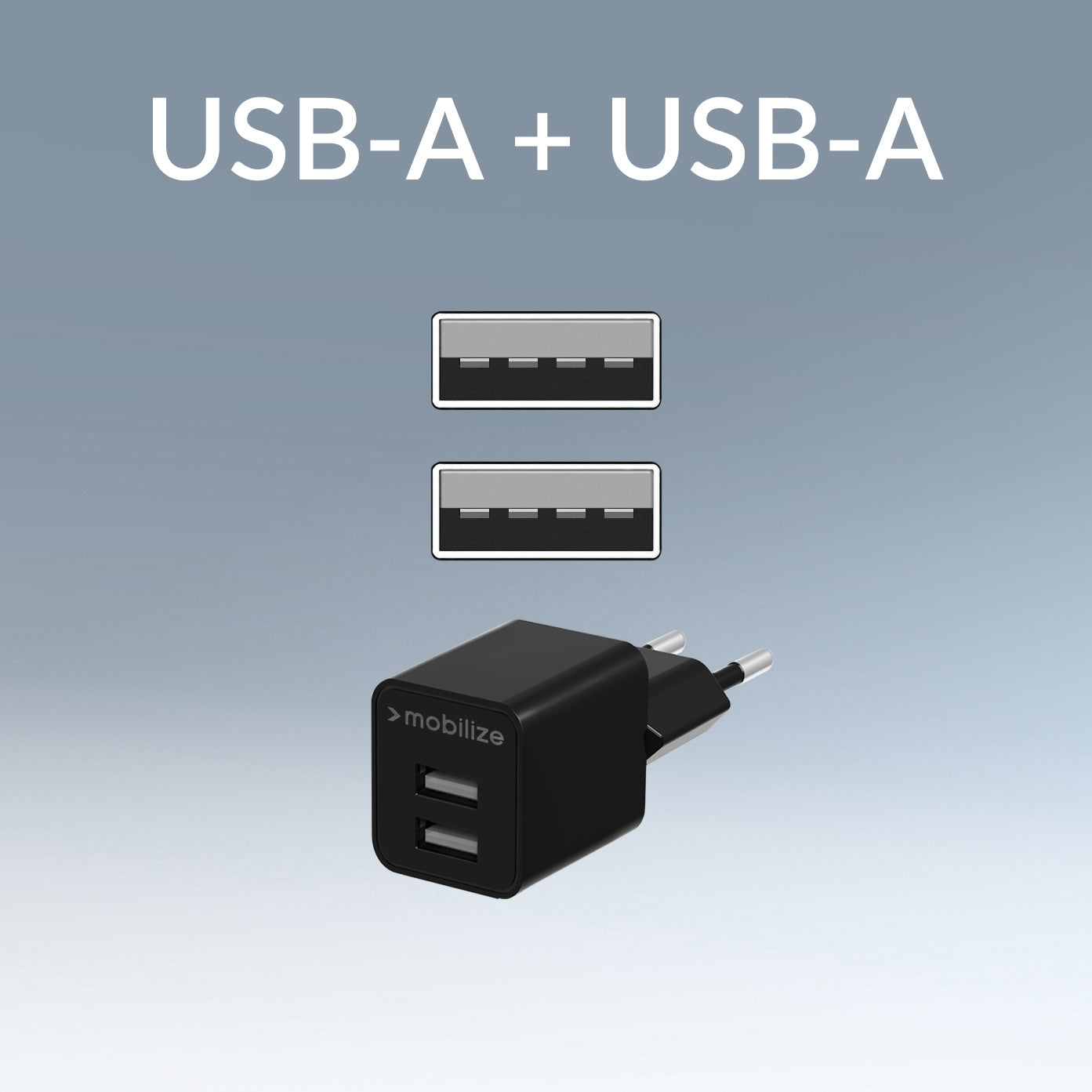 Mobilize Wall Charger 2X Usb 24W Black