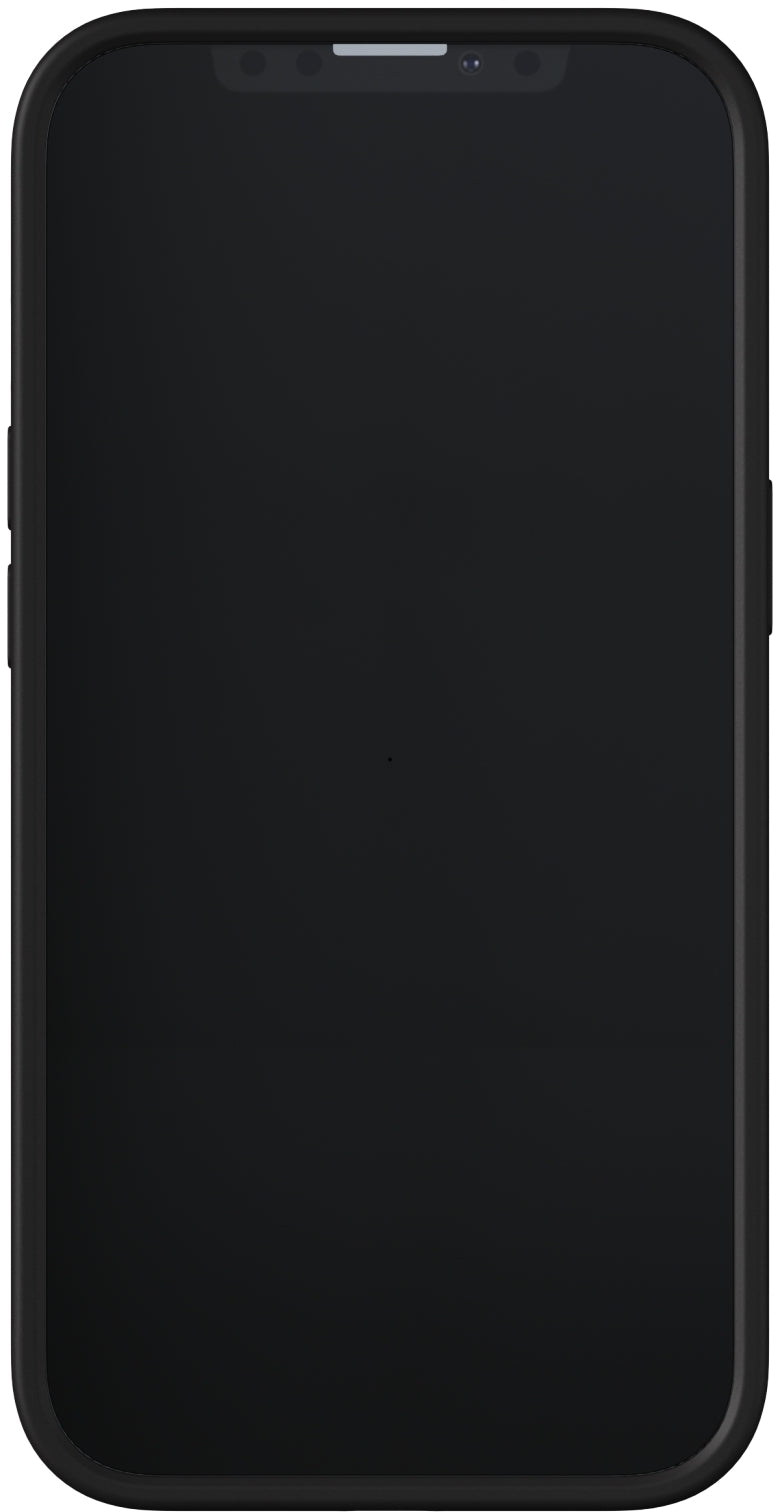 Richmond & Finch Freedom Series One-Piece Apple Iphone 13 Pro Black Out