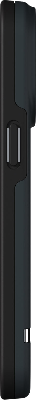 Richmond & Finch Freedom Series One-Piece Apple Iphone 13 Pro Black Out