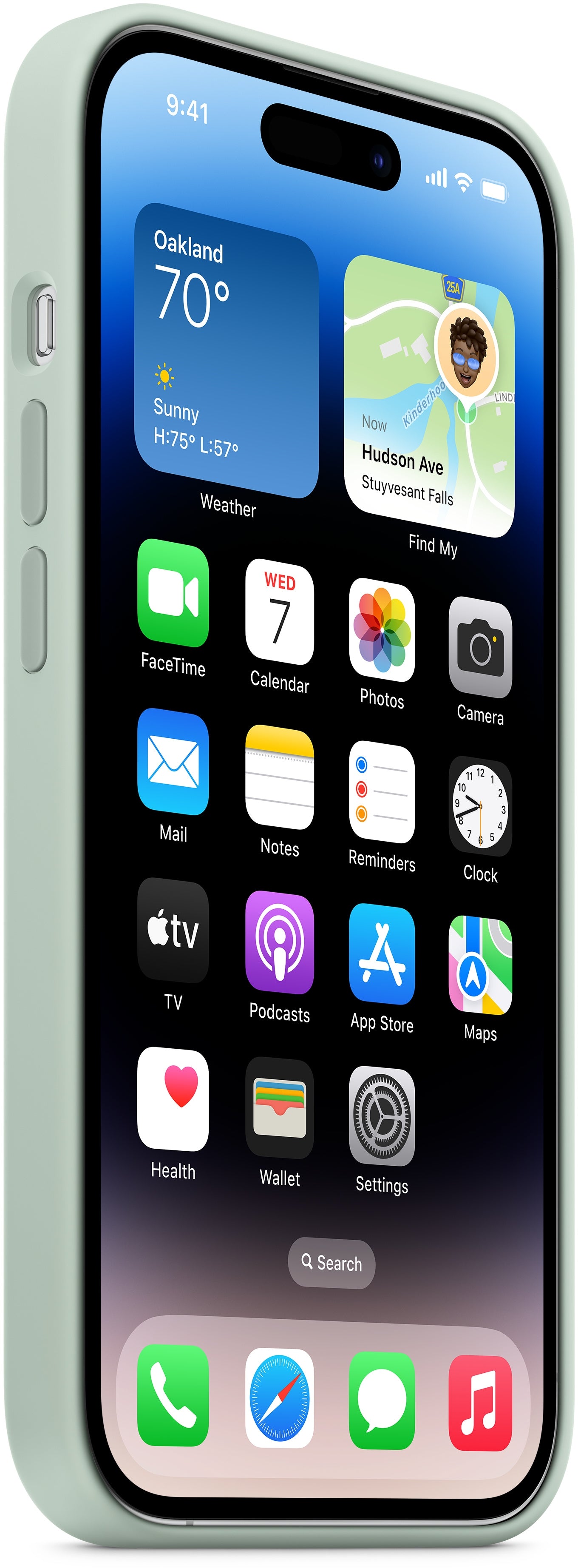 Apple Mpty3Zm/A Apple Silicone Case With Magsafe Iphone 14 Pro Max Succulent